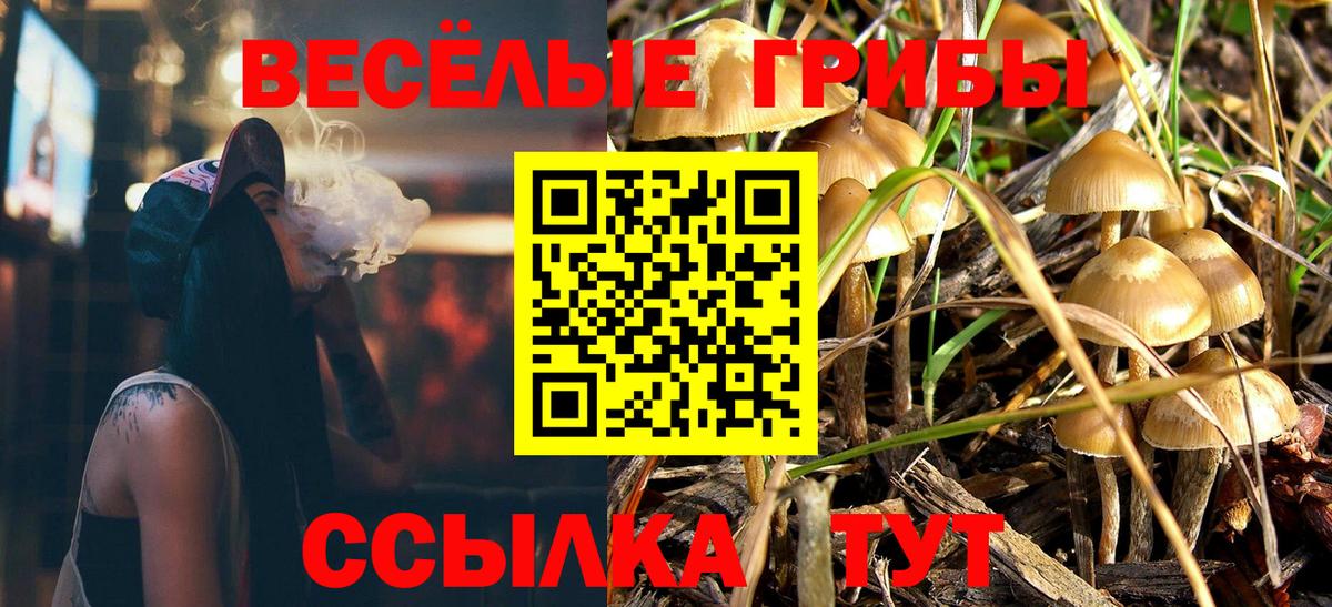 Галлюциногенные грибы мицелий Ишимбай